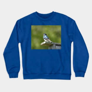 Tree swallow, wild birds, wildlife gifts Crewneck Sweatshirt